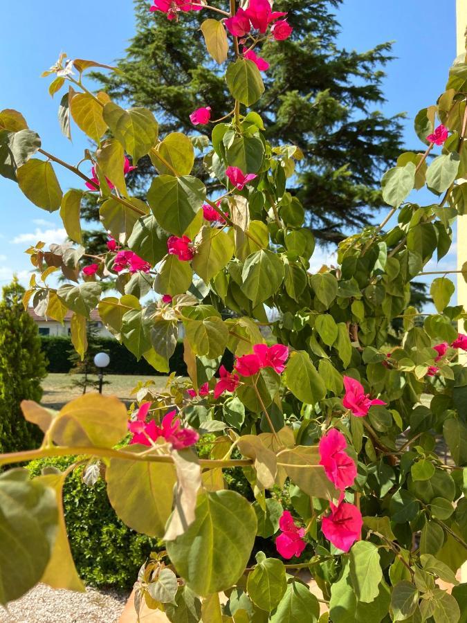 Villa Rina 페자로 외부 사진